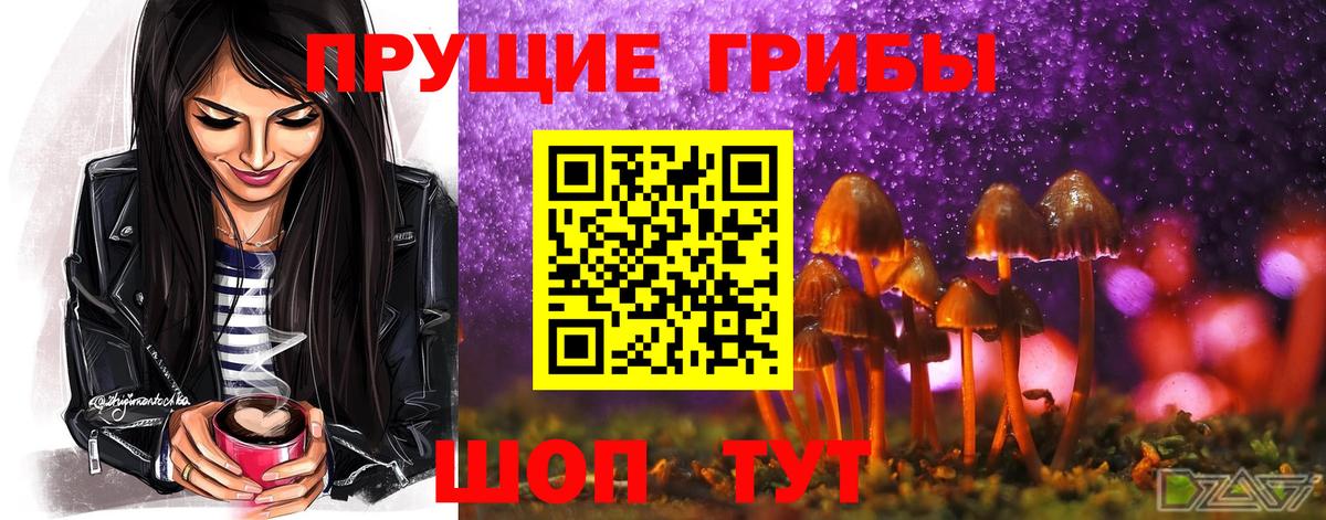Северобайкальск  Псилоцибиновые грибы прущие грибы  Вход с VPN 