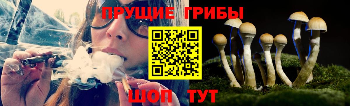 Псилоцибиновые грибы Magic Shrooms Северобайкальск